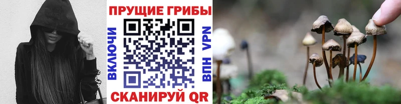 купить закладку  Бобров  Галлюциногенные грибы GOLDEN TEACHER 